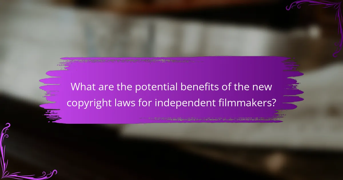 What are the potential benefits of the new copyright laws for independent filmmakers?