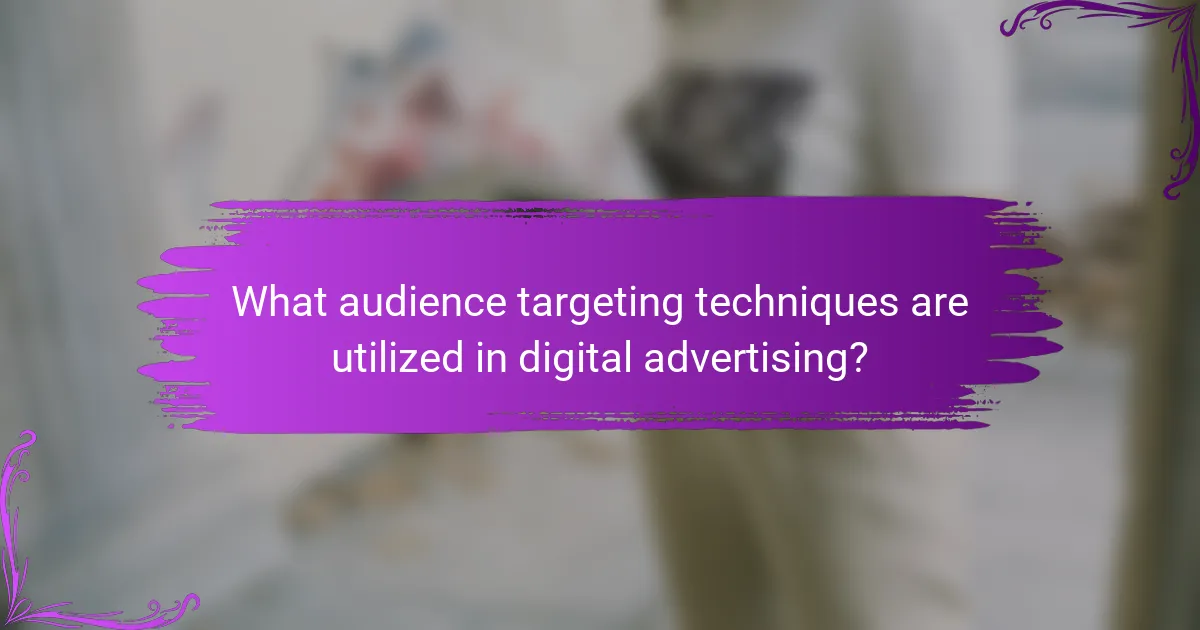 What audience targeting techniques are utilized in digital advertising?