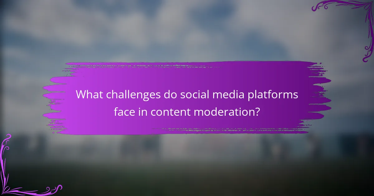 What challenges do social media platforms face in content moderation?