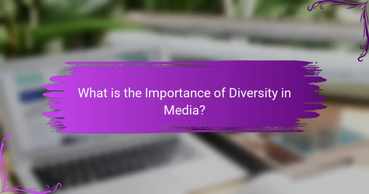 What is the Importance of Diversity in Media?