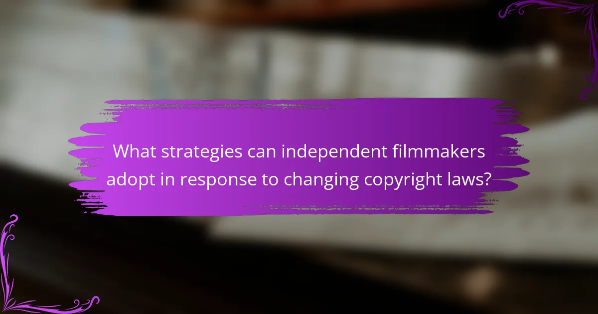 What strategies can independent filmmakers adopt in response to changing copyright laws?